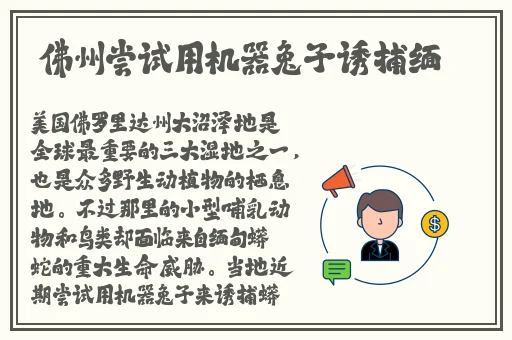 亲蜜情人之无限诱惑